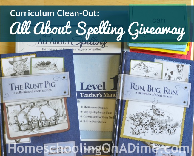 Curriculum Clean-Out